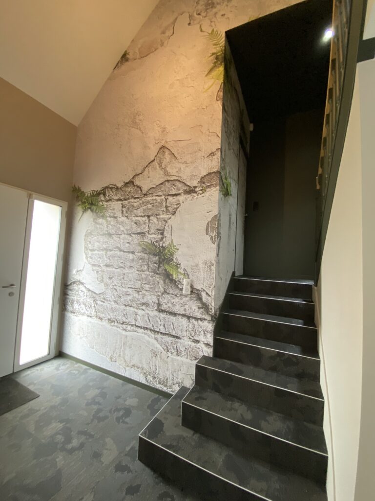 Houssin Peinture Peintre Decorateur Chateau Gontier IMG 2505